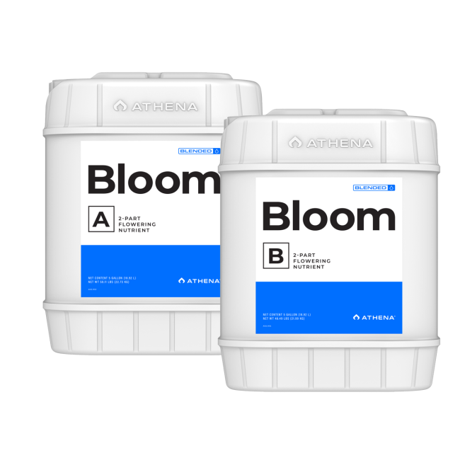 Athena Bloom A + B 18,92L